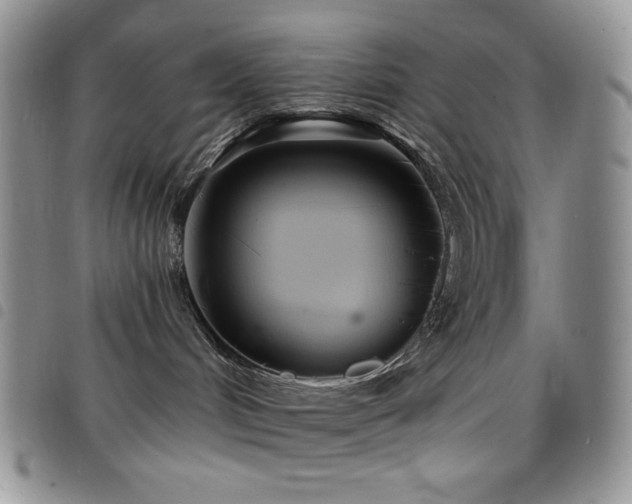 X0000098200048200804241303