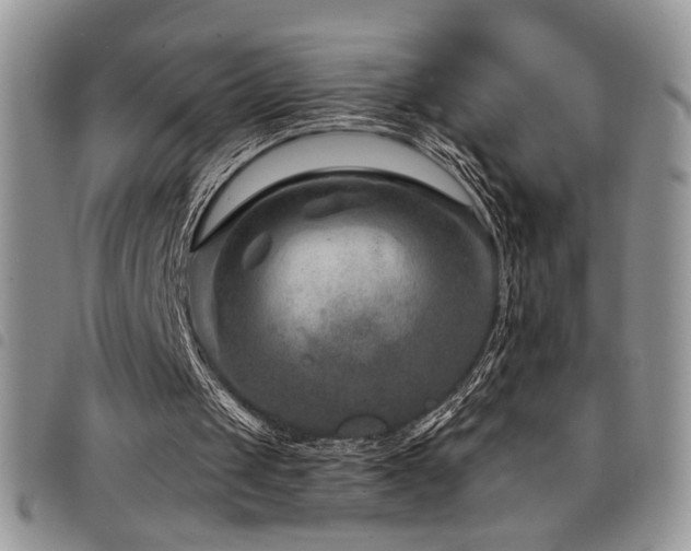 X0000098200049200804241302