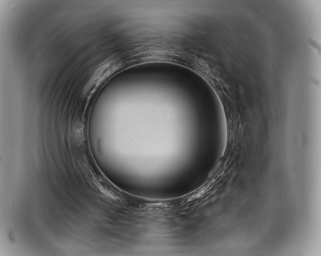 X0000098200050200804241302