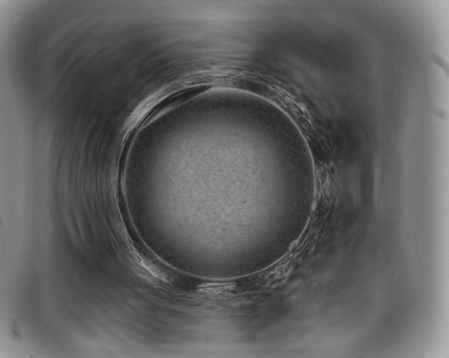 X0000098200051200804241302