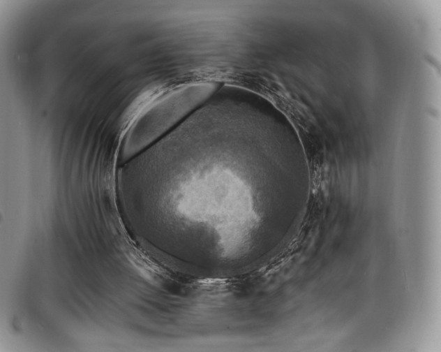 X0000098200052200804241302