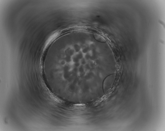 X0000098200053200804241302