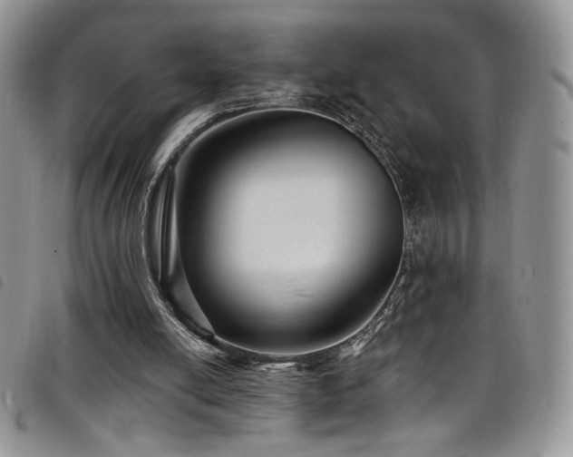 X0000098200054200804241303