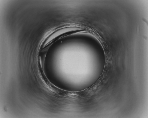 X0000098200055200804241303
