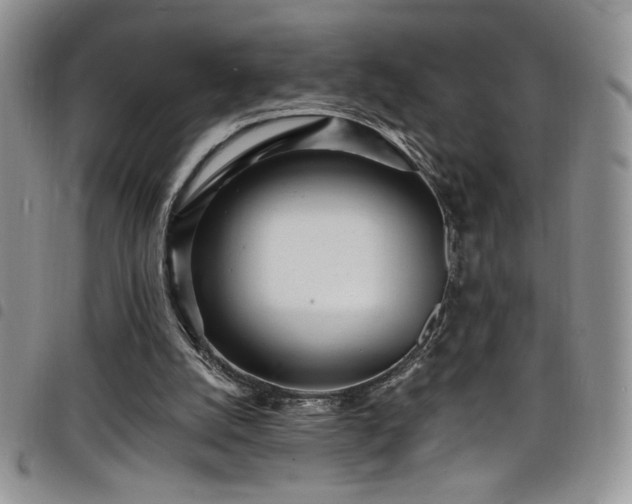 X0000098200056200804241303