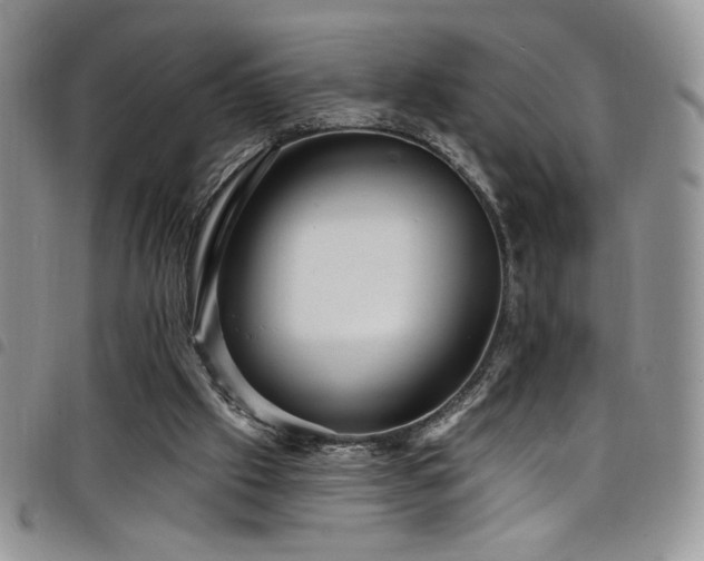 X0000098200057200804241303