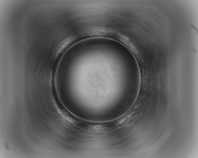 X0000098200058200804241303
