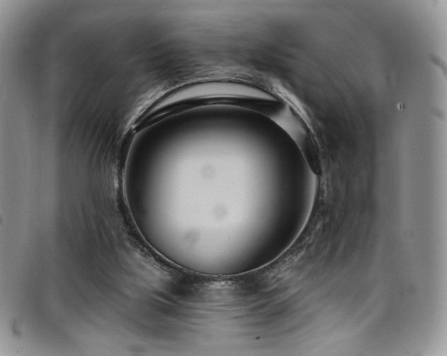 X0000098200059200804241303