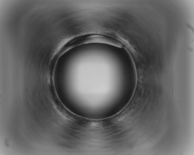 X0000098200060200804241303