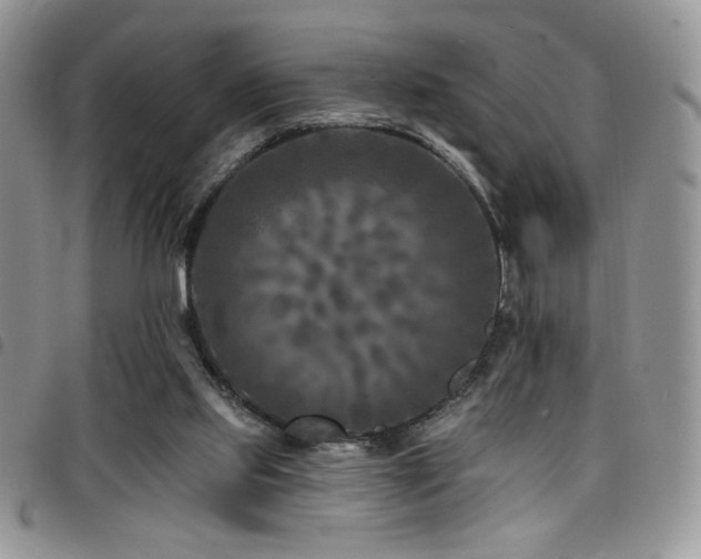 X0000098200061200804241303