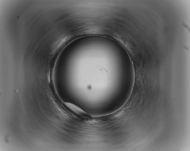 X0000098200062200804241303