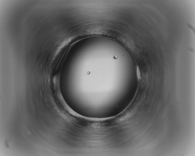 X0000098200064200804241303