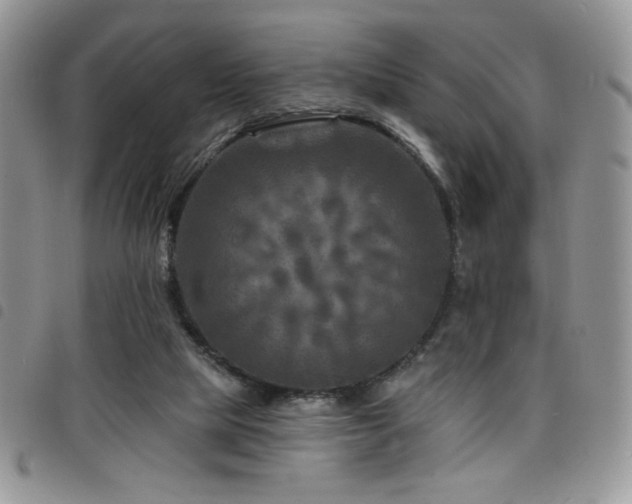 X0000098200065200804241303