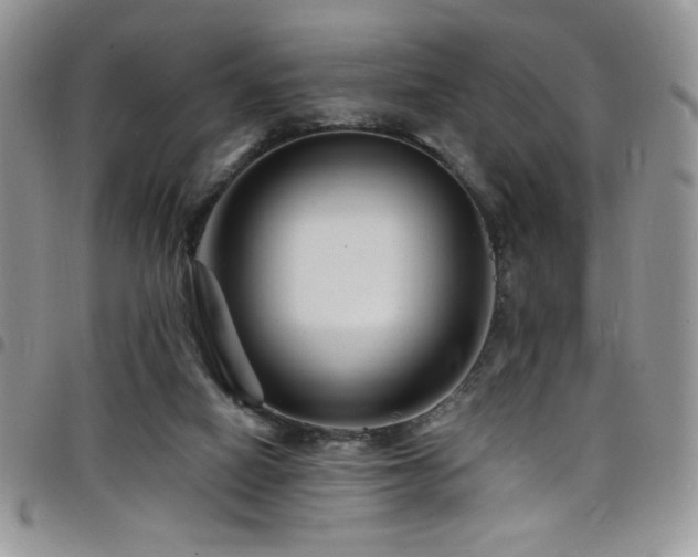 X0000098200066200804241303