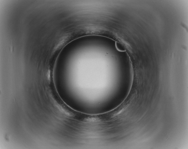 X0000098200067200804241303