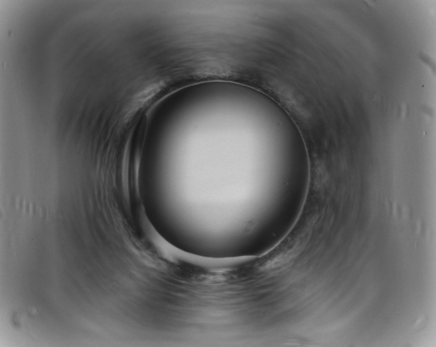 X0000098200068200804241303