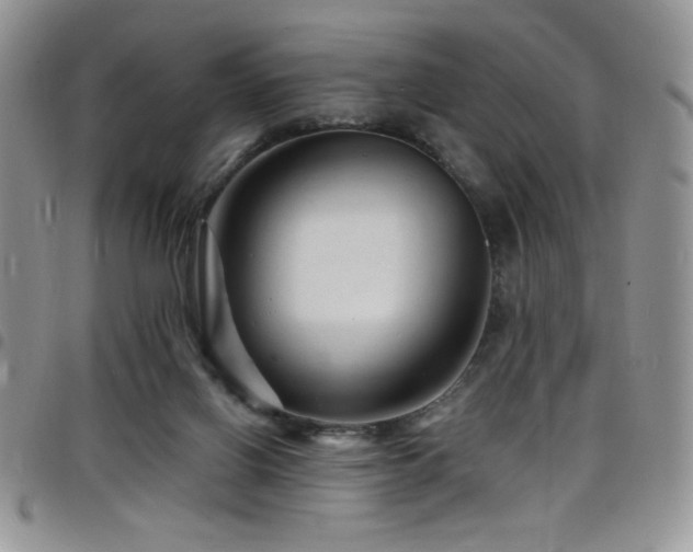 X0000098200070200804241303