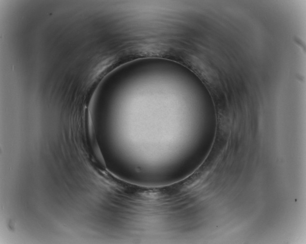 X0000098200071200804241303