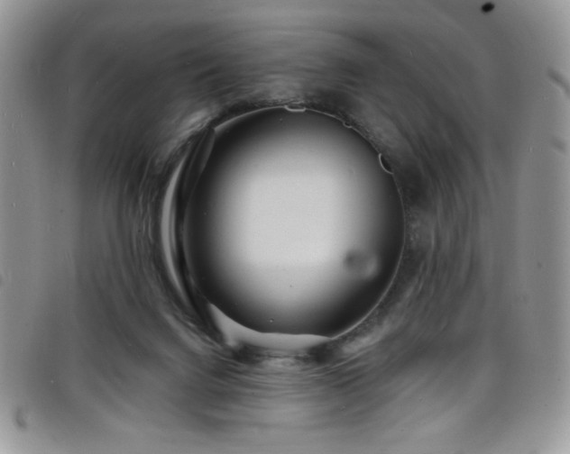 X0000098200072200804241303
