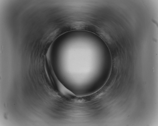 X0000098200073200804241303