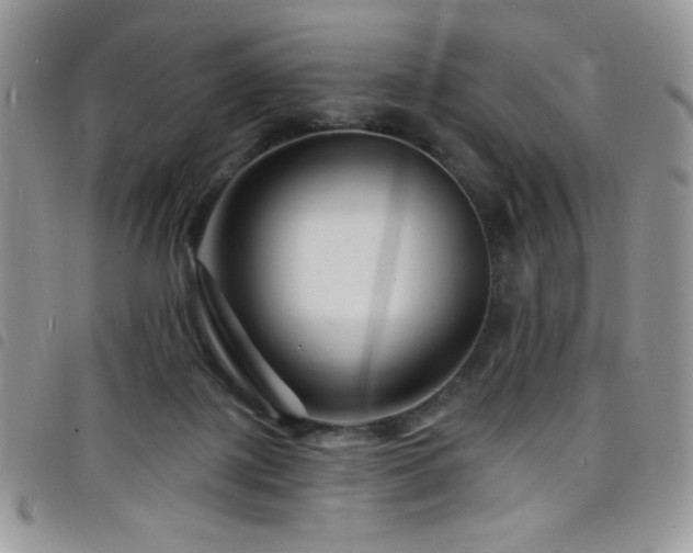 X0000098200075200804241303