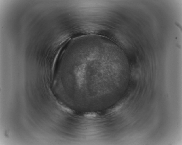 X0000098200076200804241303