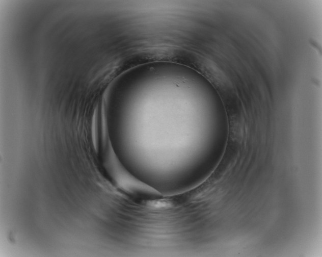 X0000098200077200804241303