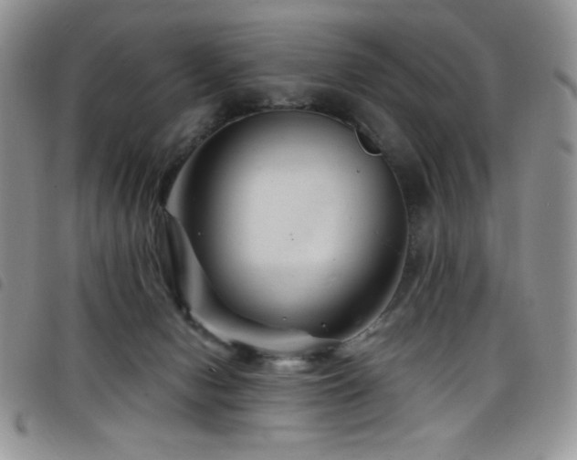 X0000098200078200804241303