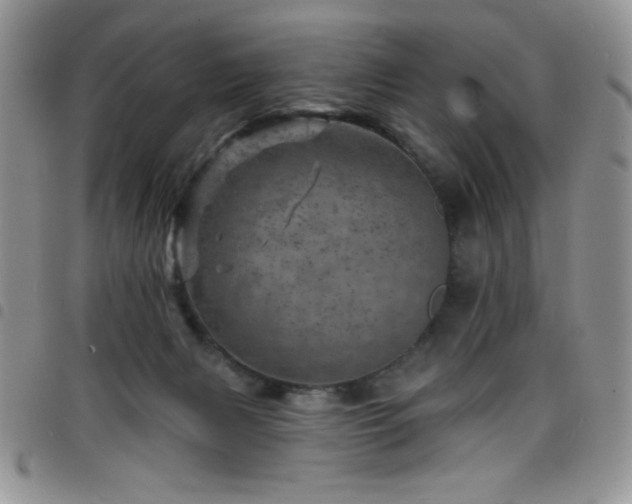 X0000098200079200804241303