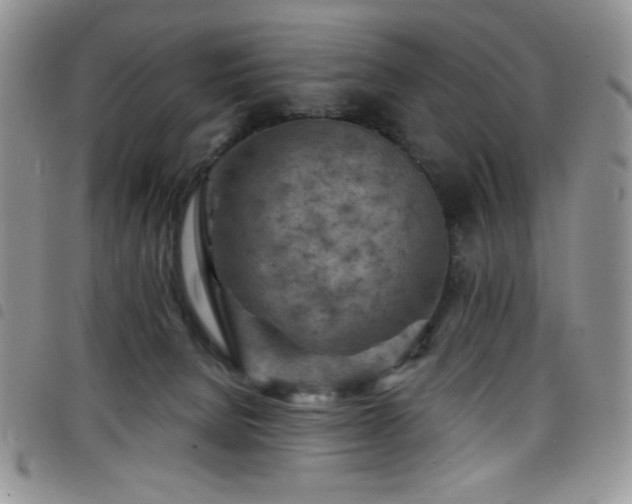 X0000098200080200804241303
