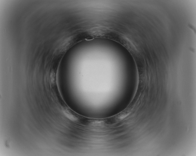 X0000098200081200804241303