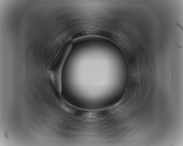 X0000098200082200804241303