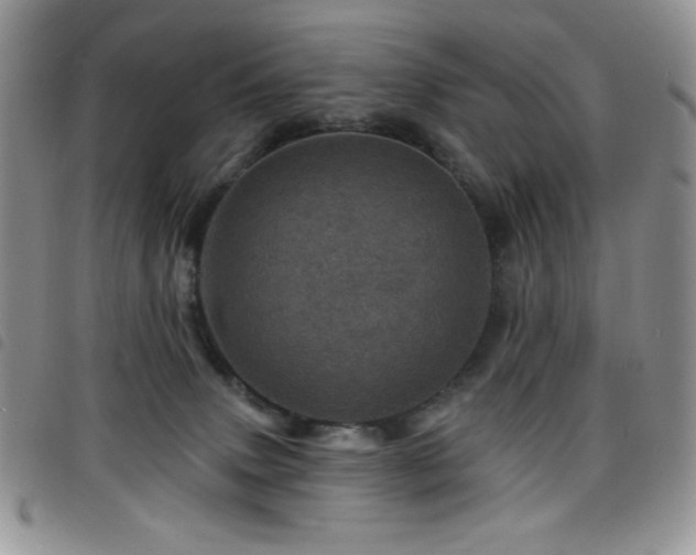 X0000098200083200804241303
