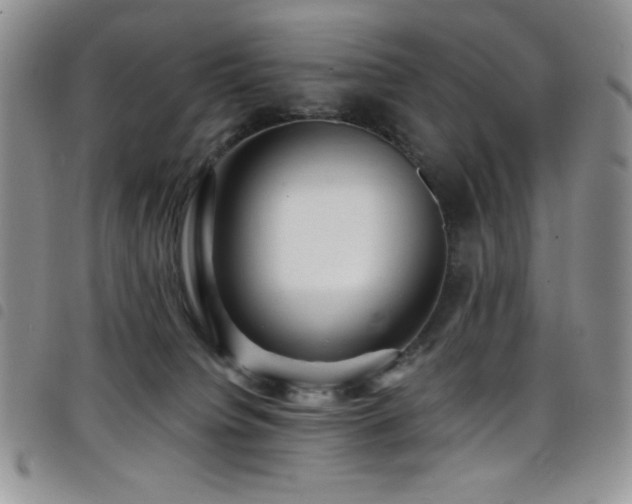 X0000098200084200804241303