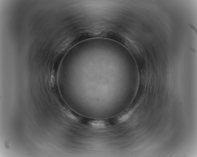 X0000098200085200804241303