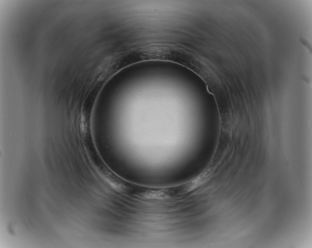 X0000098200086200804241303