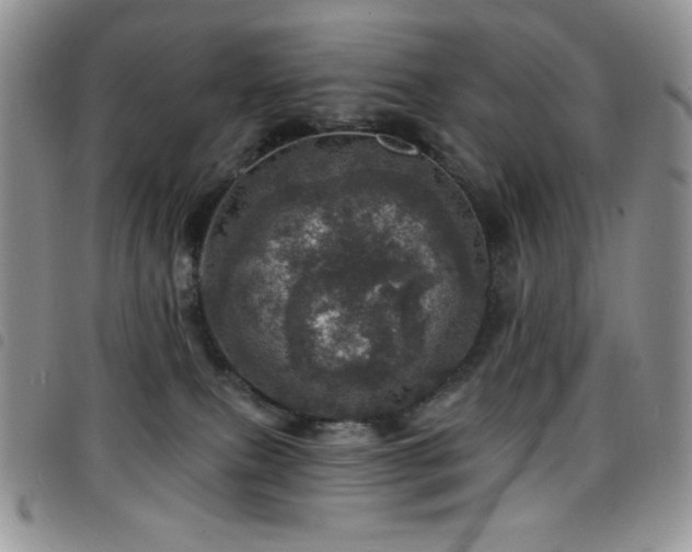 X0000098200087200804241303