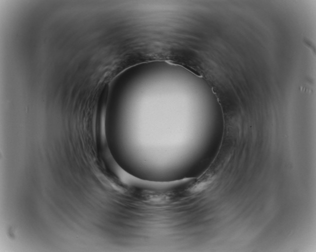 X0000098200088200804241303