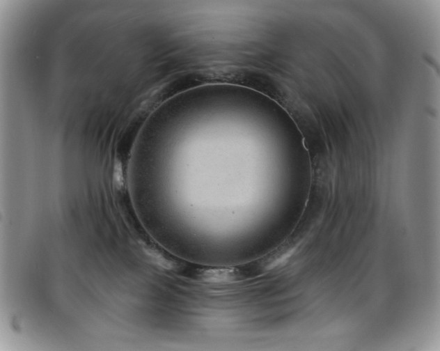 X0000098200089200804241303