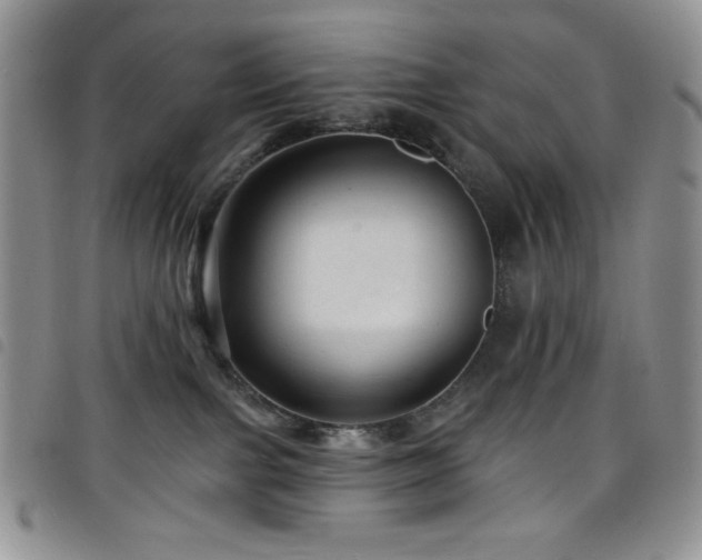 X0000098200091200804241303
