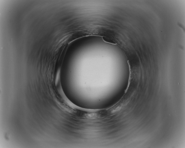 X0000098200092200804241303