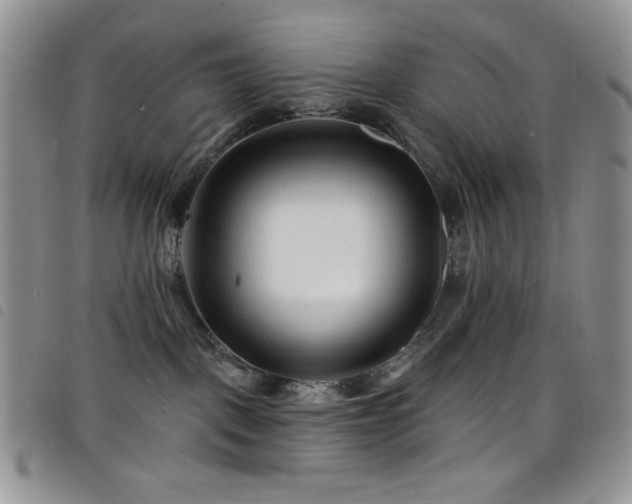 X0000098200093200804241303