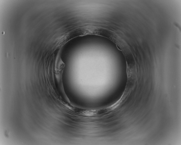 X0000098200094200804241303