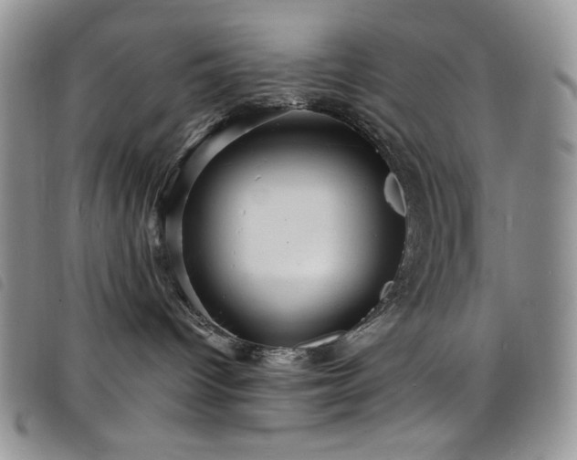 X0000098200096200804241303