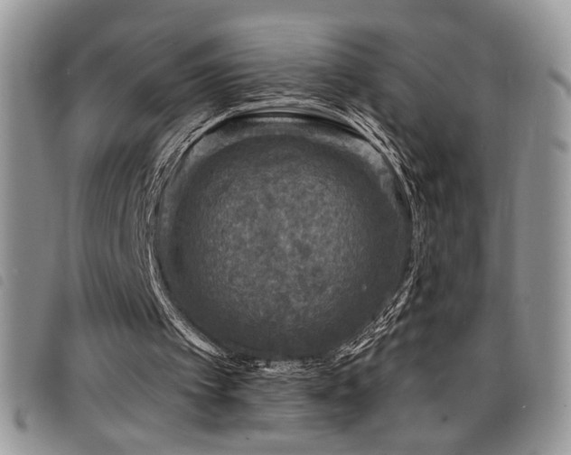 X0000098200097200804241302