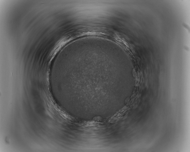 X0000098200098200804241302