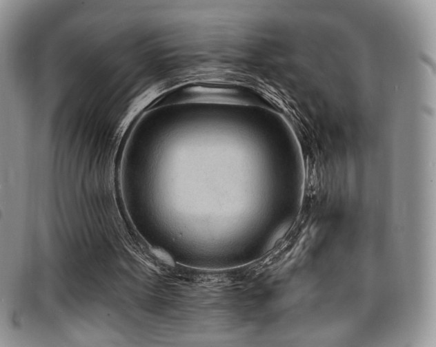 X0000098200099200804241302