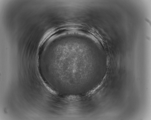 X0000098200101200804241302