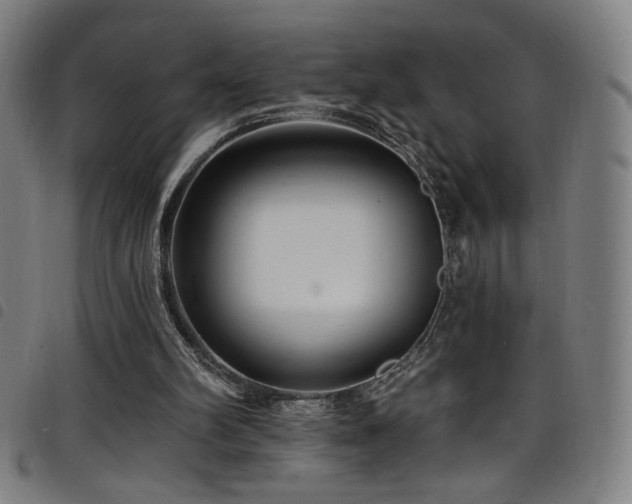 X0000098200102200804241302