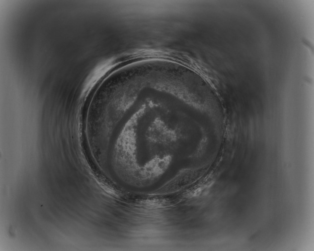 X0000098200103200804241302